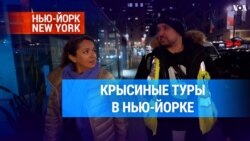 Крысиные туры в Нью-Йорке