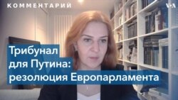 Правозащитница: для трибунала понадобится санкция Генассамблеи ООН 