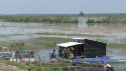 Mưu sinh trên Hồ Dầu Tiếng