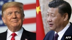 Tổng thống Mỹ Donald Trump và Chủ tịch Trung Quốc Tập Cận Bình.